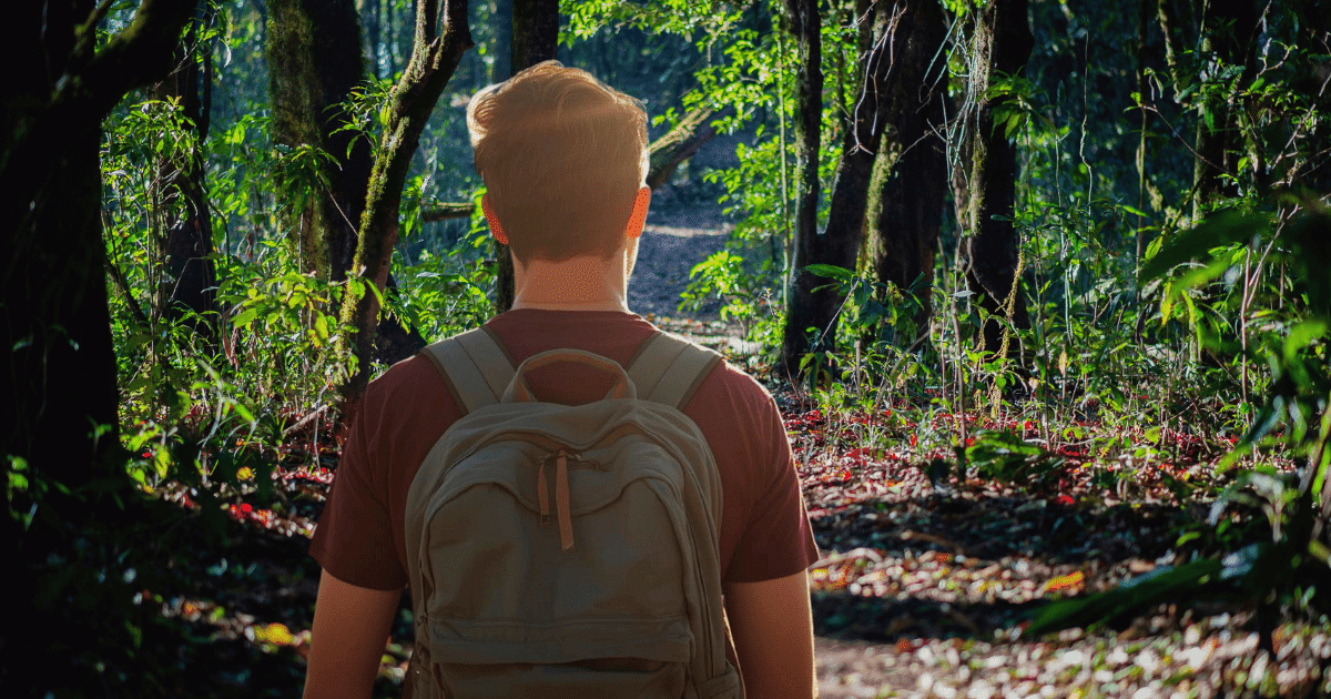 Vista trasera de un hombre joven con el pelo rubio rojizo y una mochila marrón, caminando por un sendero iluminado por el sol dentro de un bosque frondoso y oscuro. Esta imagen ilustra el artículo sobre la historia, zonas y estigma del cruising.